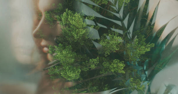 Nature portrait harmony tranquility blur woman