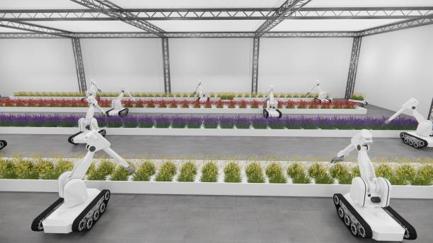 istock Robot Arm  warehouse plants flower indoors for efficient cultivation. 2060758181
