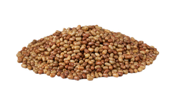 istock moth bean seed isolated on white background. pile of moth bean seed isolated. heap moth bean seed isolated 2060758438