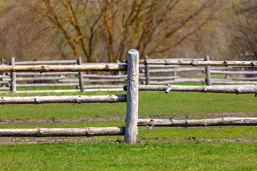 Wooden fence on the green grass in the spring. Natural background.