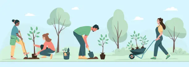 Vector illustration of Environmental care horizontal poster. People planting trees, seedlings in city park. Environmental care and volunteerism concept. Engage for a greener future. Flat cartoon vector illustration