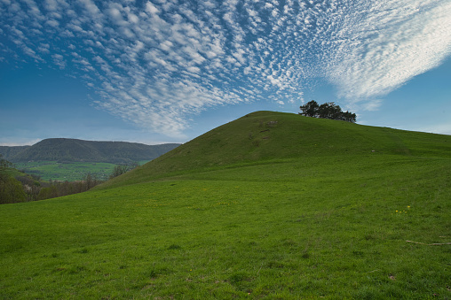 green wavy summer landscape in germany