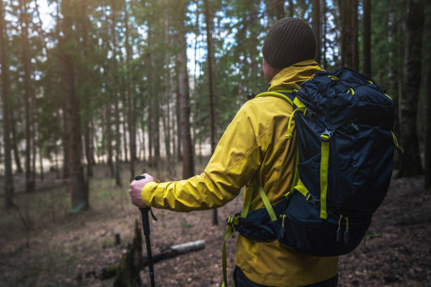 istock Hiker with a backpack in the woods, rear view 2060816754