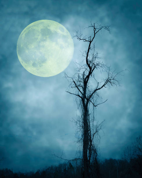 Blue Moon, Tree Silhouette, Stormy Night, Atmospheric Mood - fotografia de stock
