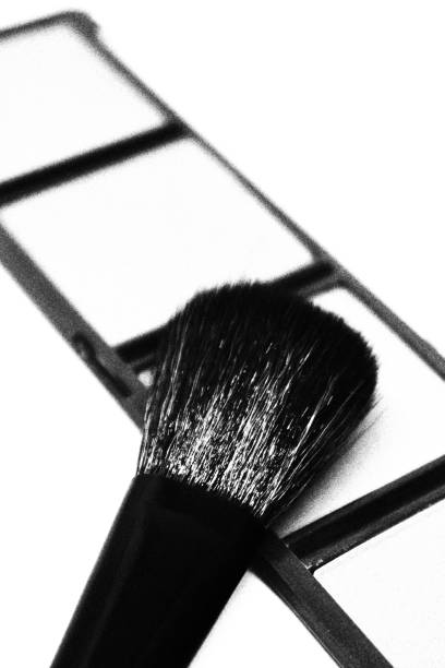 Blushes and Contour Palette with Makeup Brush. Monochromatic Black and White Tones