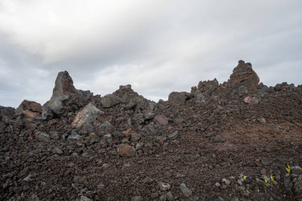 Volcanic rock piles on Big Island Hawaii