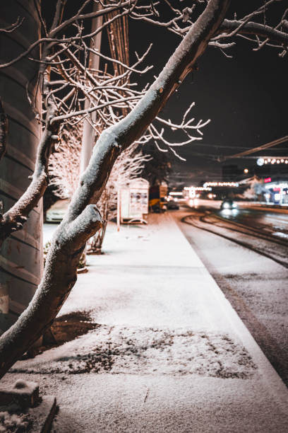 istock Snowy night in Yerevan 2060872048