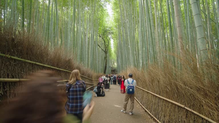 Time Lapse Arashiyama Bamboo Forest Tourists