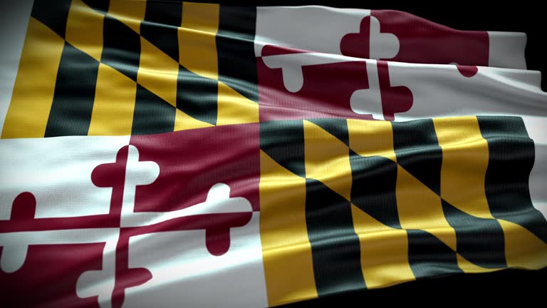 US state flag of Maryland