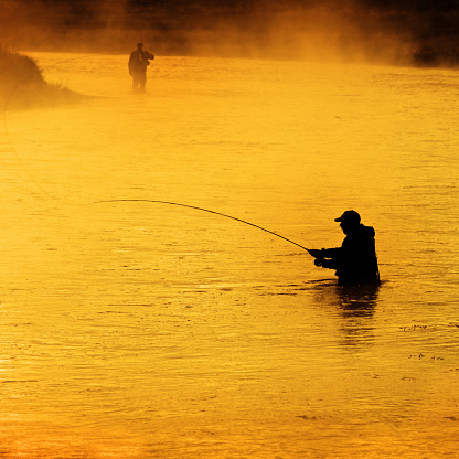 Silhouette of Man Flyfishing Fishing in River in golden morning light with steam rising from water