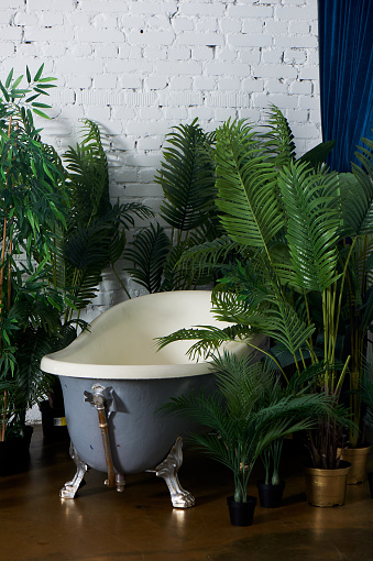 Bathtub in the hall with dark parquet floors. Palatial style. Green fresh flowers in tubs. Bath in the greenhouse.