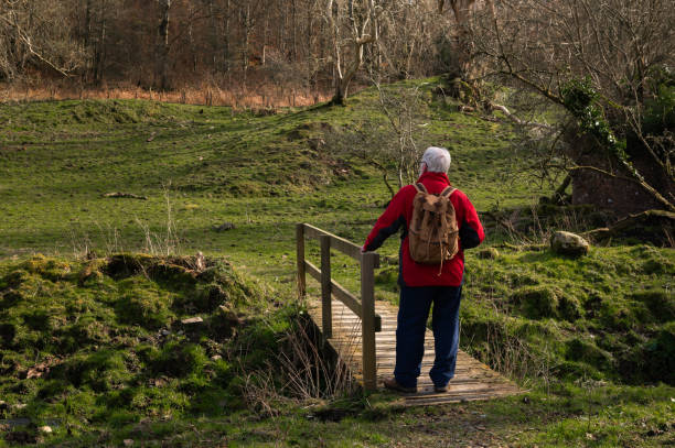 Senior man on a footbridge in a field in rural Scotland on a spring morning