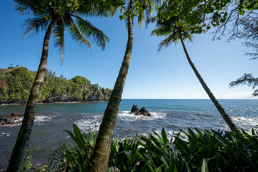 Waterfront adjacent to the Big Island Botanical Garden, in Hawaii