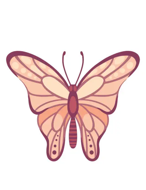 Vector illustration of Colorful butterfly insect cartoon style animal design vector illustration isolated on white background