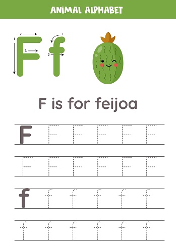 Fruit and vegetable alphabet writing for preschool kids. Letter F is for feijoa.