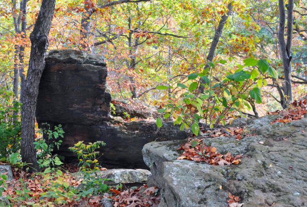 istock Black Rock Nature Preserve, Warren County, Indiana 2060897620
