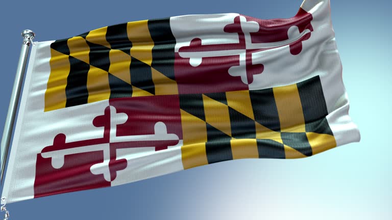 US state flag of Maryland