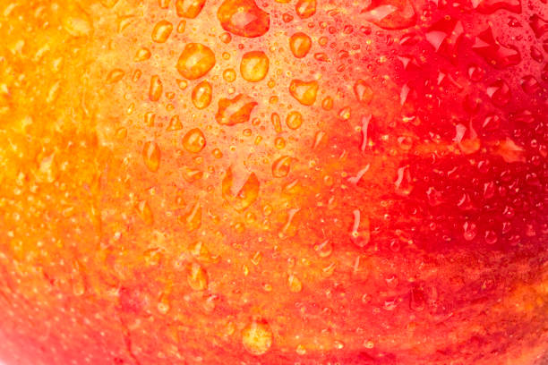 istock Mango fruits with close-up shooting background. 2060901457