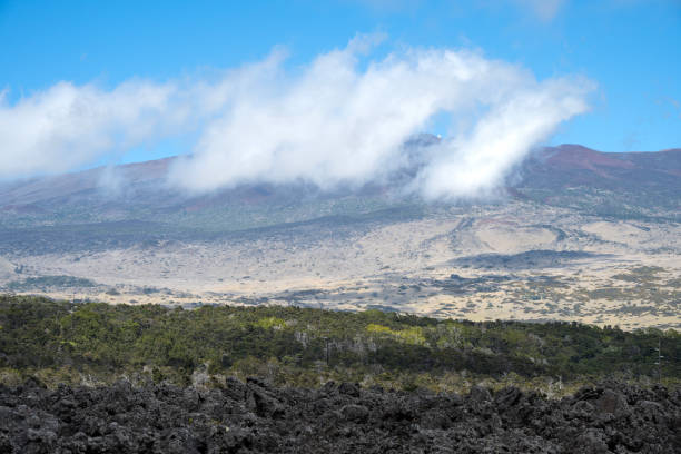 Spectacular view of a Hawaiian landscape featuring varied vegetation, earthy red terrain, and a mountainous background. A perfect depiction of natureâs beauty, ideal for peaceful moments of exploration and adventure.