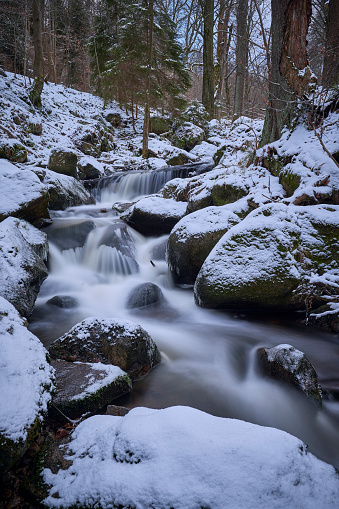Flowing waterfall (Selkefall) in a snow-covered winter forest