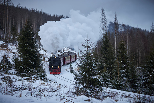 Historical steam train running full speed to Brocken Mountain in Harz region. The sky is grey, there is snow on the trees and the steam is coming out of the chimney.