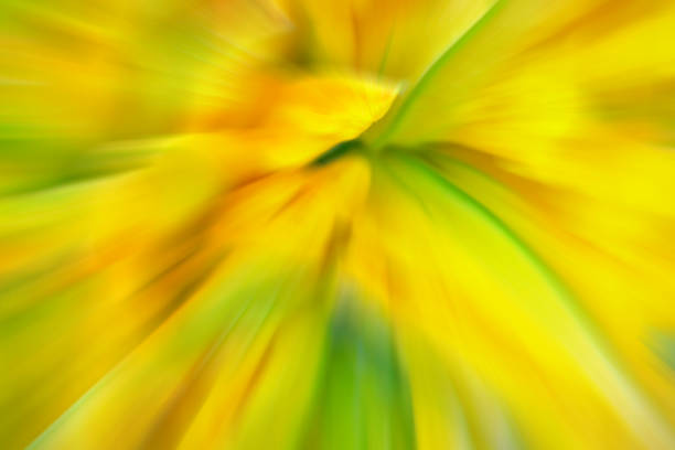 Blurred abstract colorful green and yellow background or wallpaper.