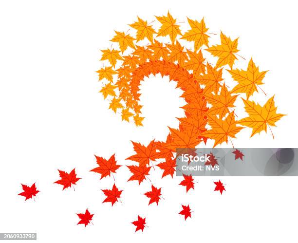 Fall Color Swirls Swirl Geometric Pattern Of Colorful Fallen Yellow Orange Red Maple ...
