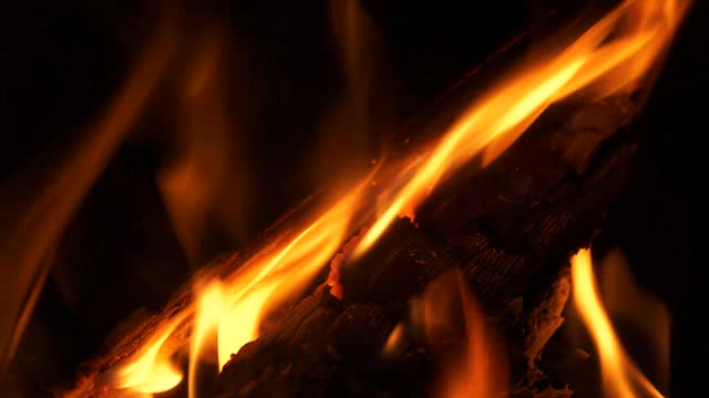 Crackling firewood flames in a campfire, close-up view.
