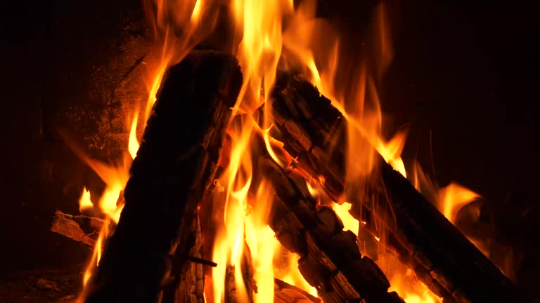 Crackling firewood flames in a campfire, close-up view.