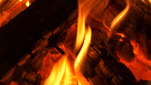 Crackling firewood flames in a campfire, close-up view.