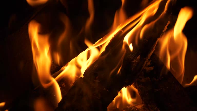 Crackling firewood flames in a campfire, close-up view.