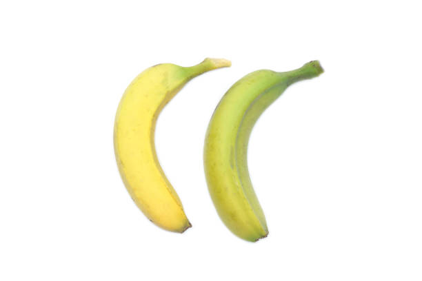 istock Two Cavendish bananas side by side on a white background. It is a fruit with good taste. The peel is thin and not sticky. 2060982748