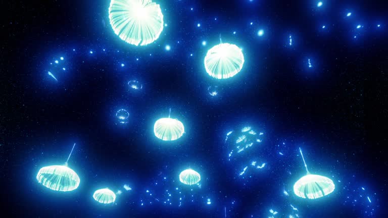Moving Under Glowing Trees And Jellyfish Lights Party Event Display