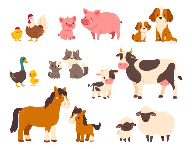 illustrations, cliparts, dessins animés et icônes de animaux de la ferme avec leur bébé. famille d’animaux de compagnie de dessin animé. des mères et des enfants. parents et enfants domestiques. maman cochon avec porcelet, vache et veau mignons. jeu de vecteurs - vache