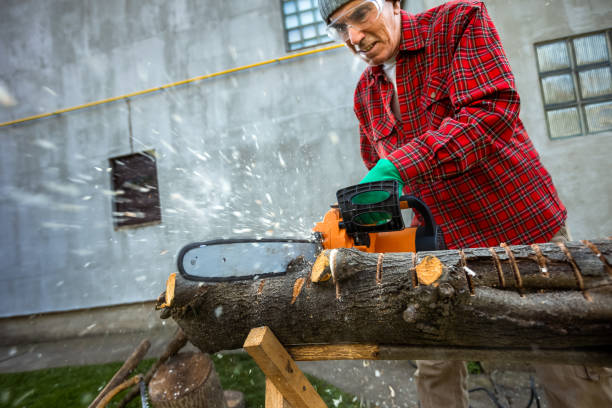 istock Man cutting wood with saw, dust and movements. Chainsaw. 2061000587