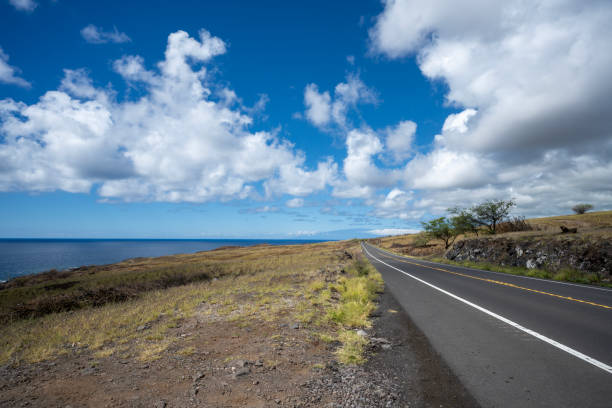 istock Road by the Pacific Ocean on Big Island 2061001140