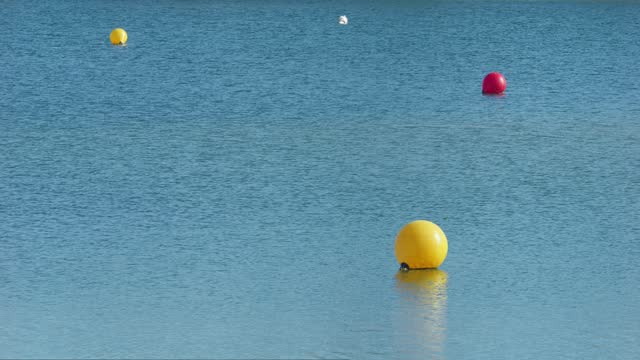 Yellow and red buoys floating on a calm lake, Jarun Lake, Zagreb, Croatia