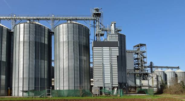istock Grain storage bins with silos and elevator tower in the countryside 2061047229