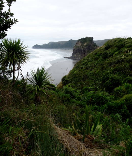 istock The Lion Rock in Piha Beach 2061059726