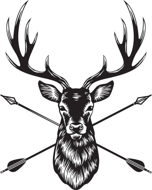 Deer Head with Crossed Arrows Black and White. Deer Head with Crossed Arrows Black and White. Vector Illustration. silhouette of a elk antler tattoo stock illustrations