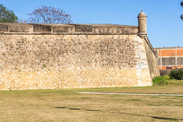 istock Sentinel Vigilance: Bastioned wall with tower and green garden. 2061120342