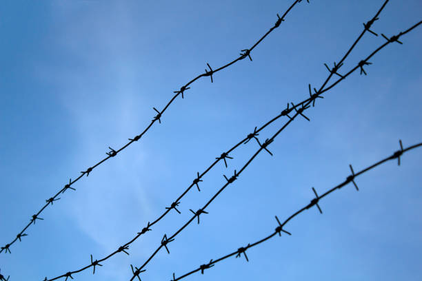Barbed Wire. Jail or border razor wire against blue sky. Security concept