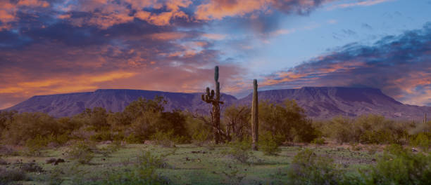 istock Arizona Desert Landscape 2061135483