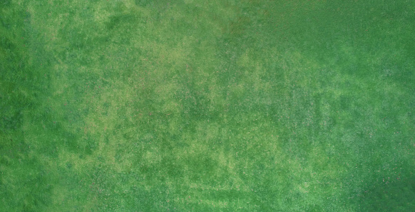 Green grass lawn texture above top drone view