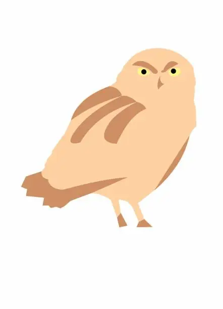 Vector illustration of burrowing owl
