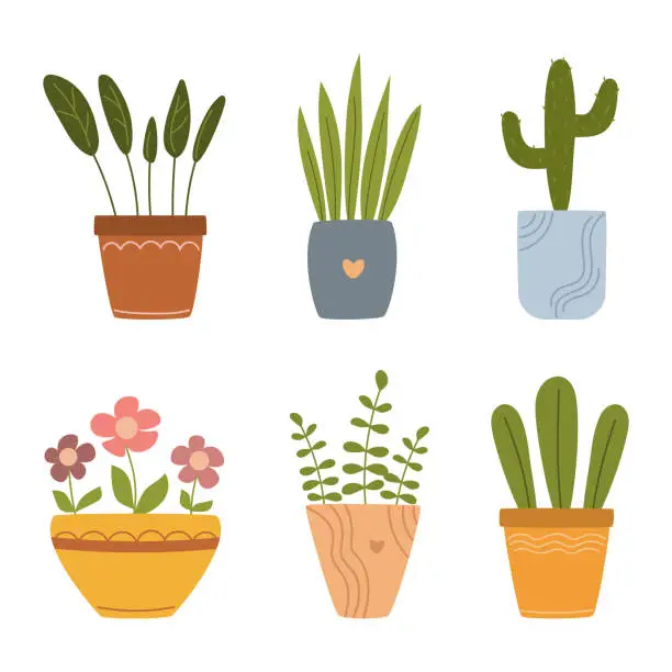 Vector illustration of Collection of home pots with flowers and plants, indoor plants, vector illustration in flat style on a white background