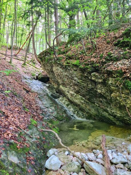 istock Untersberg - Veitlbruch clear water 2061300339