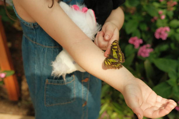 istock Butterflies on hands and people 2061328151