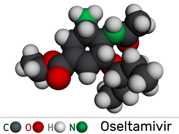 istock Oseltamivir antiviral drug molecule. Molecular model. 3D rendering. 2061345973