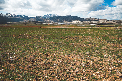 Agricultural fields and mountain landscape